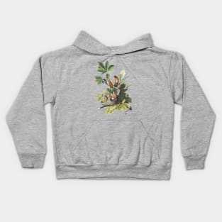 Audubon American Robin Kids Hoodie